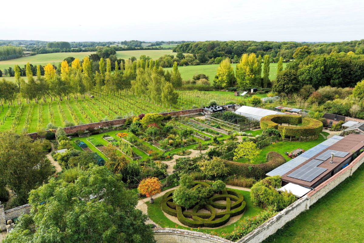 Aerial Still Garden Vineyard 2025