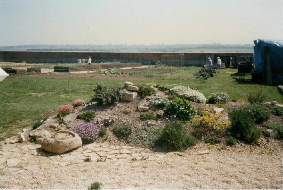 Garden Taking Shape